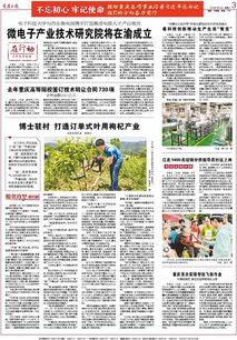 重慶高等院校技術轉讓成果豐碩，去年簽訂合同730項推動創新發展